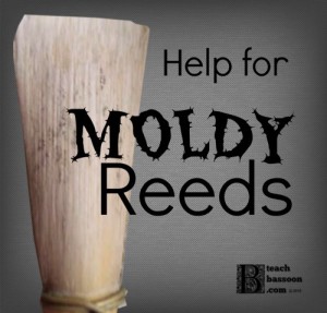 Get rid of mold on bassoon reeds